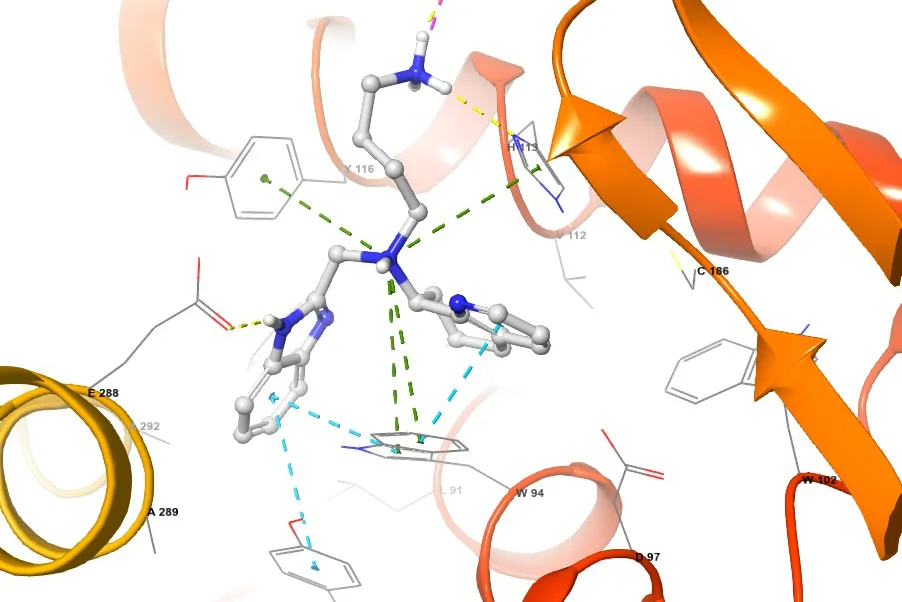 Molekylstruktur til G-protein coupled receptors