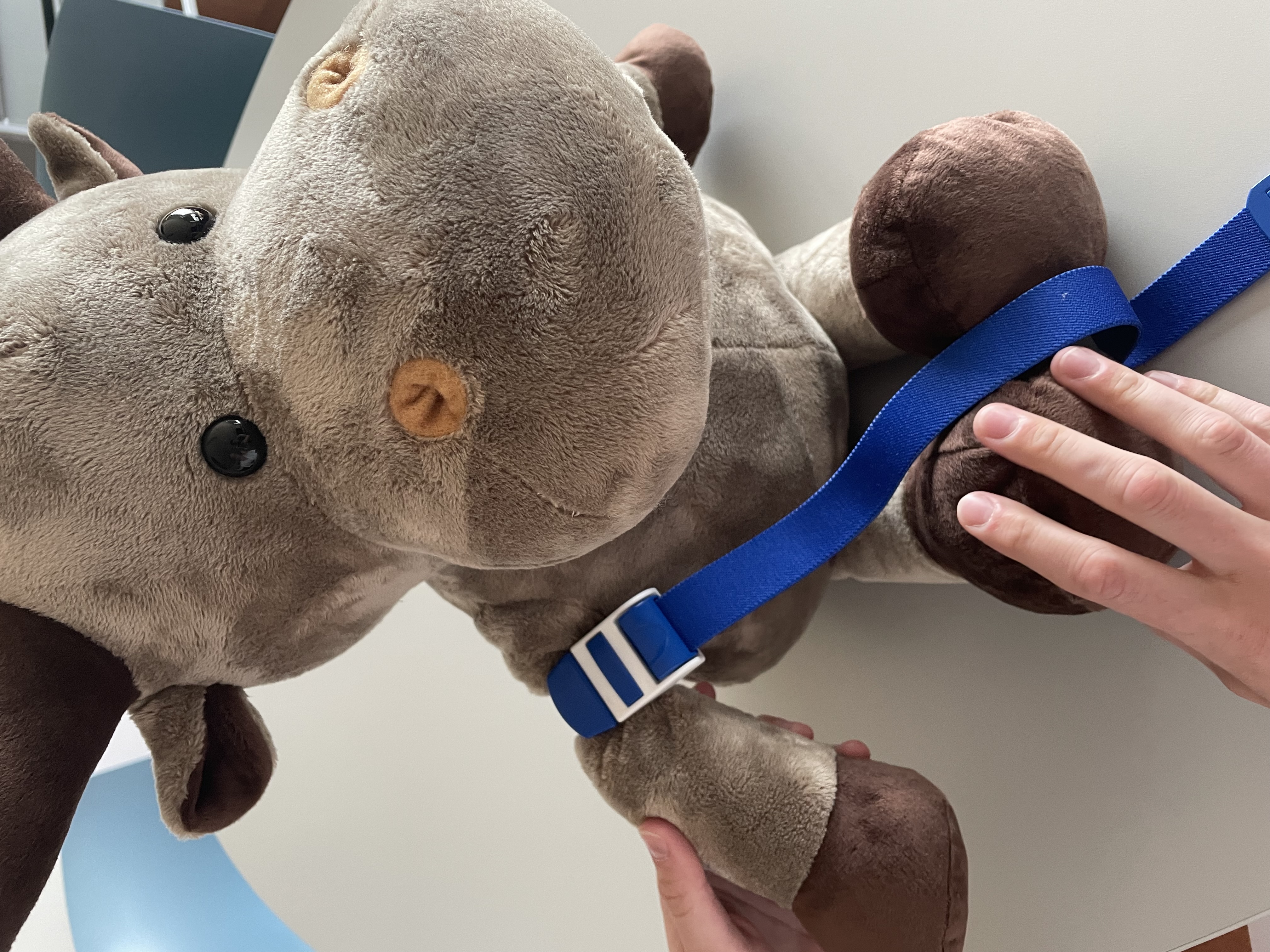 Eik får på stasebånd