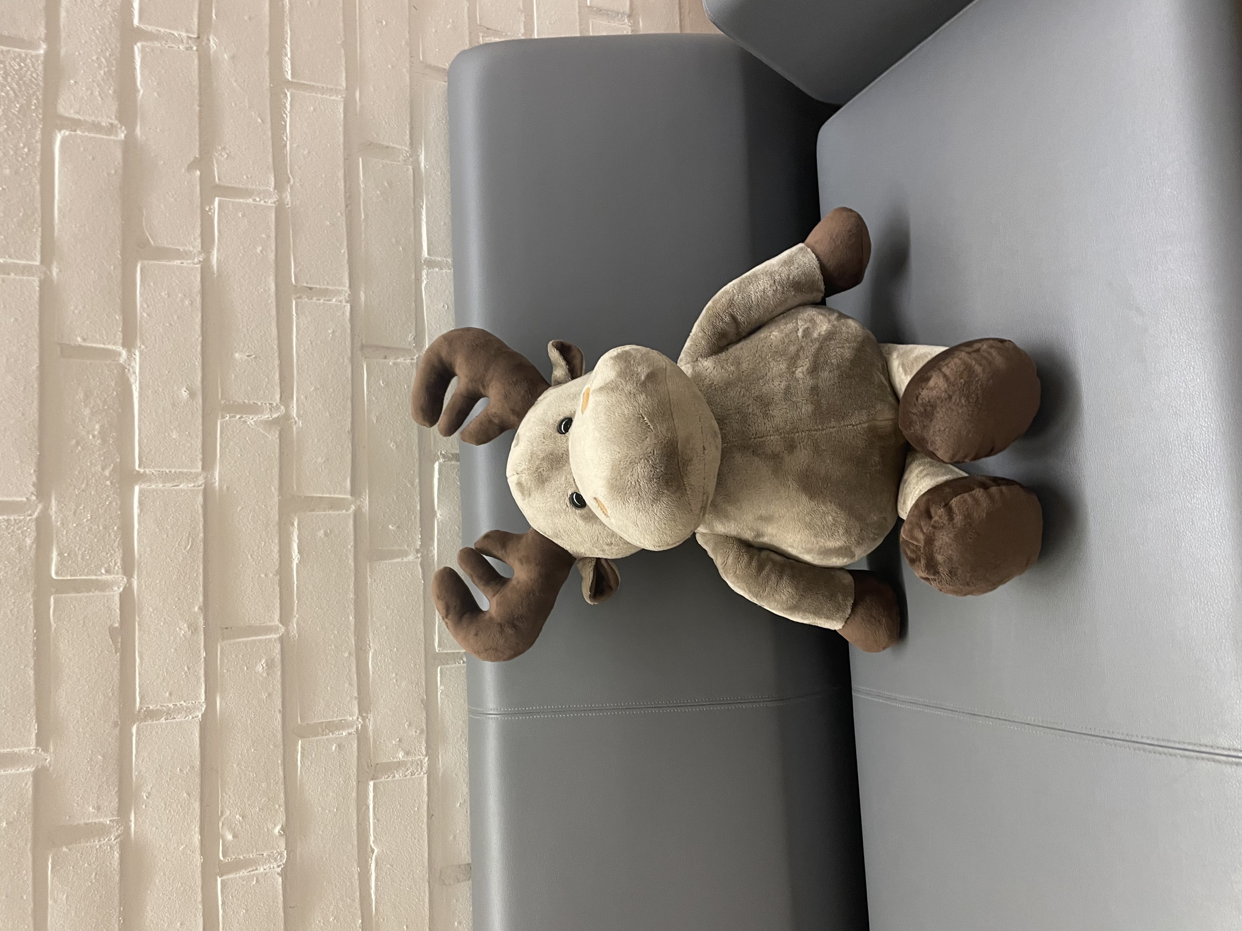 Et kosedyr på en benk