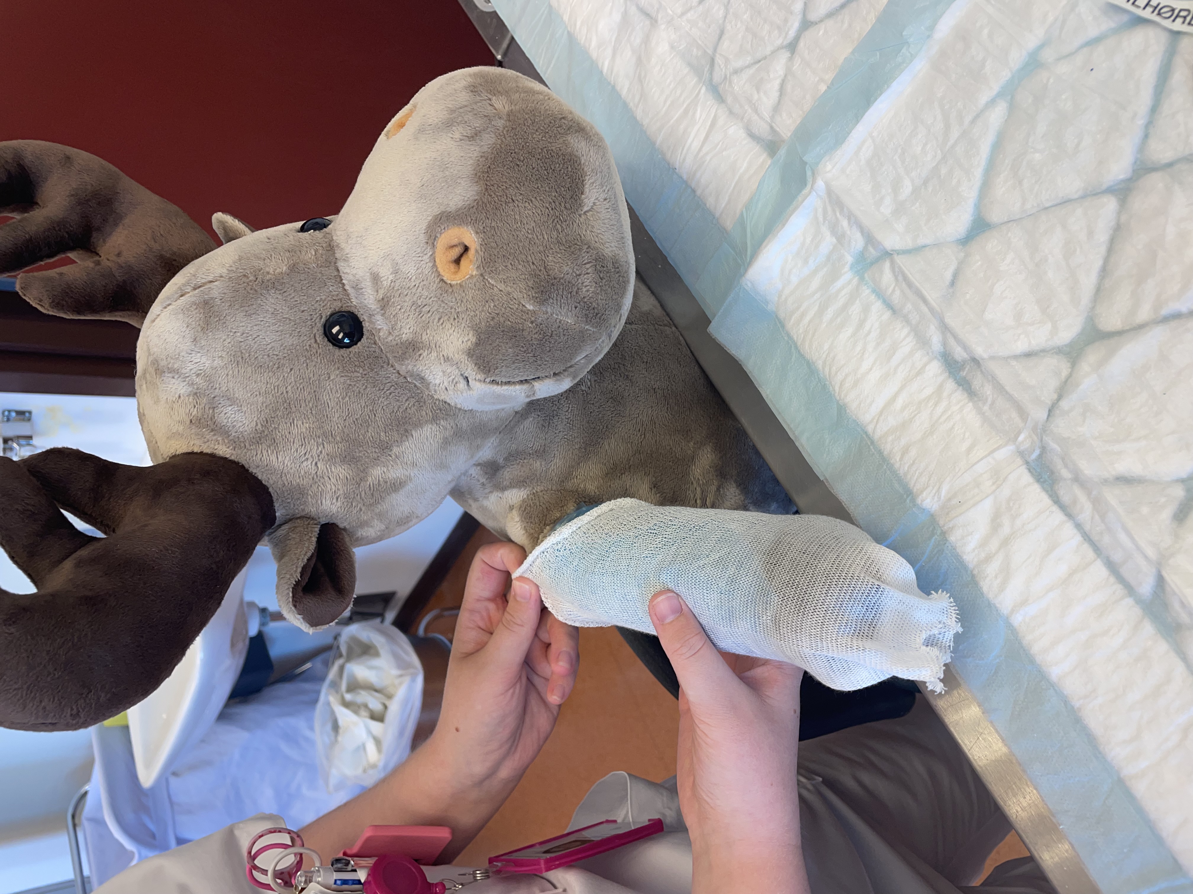 En person som holder et kosedyr