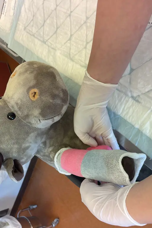 Kosedyr får gips