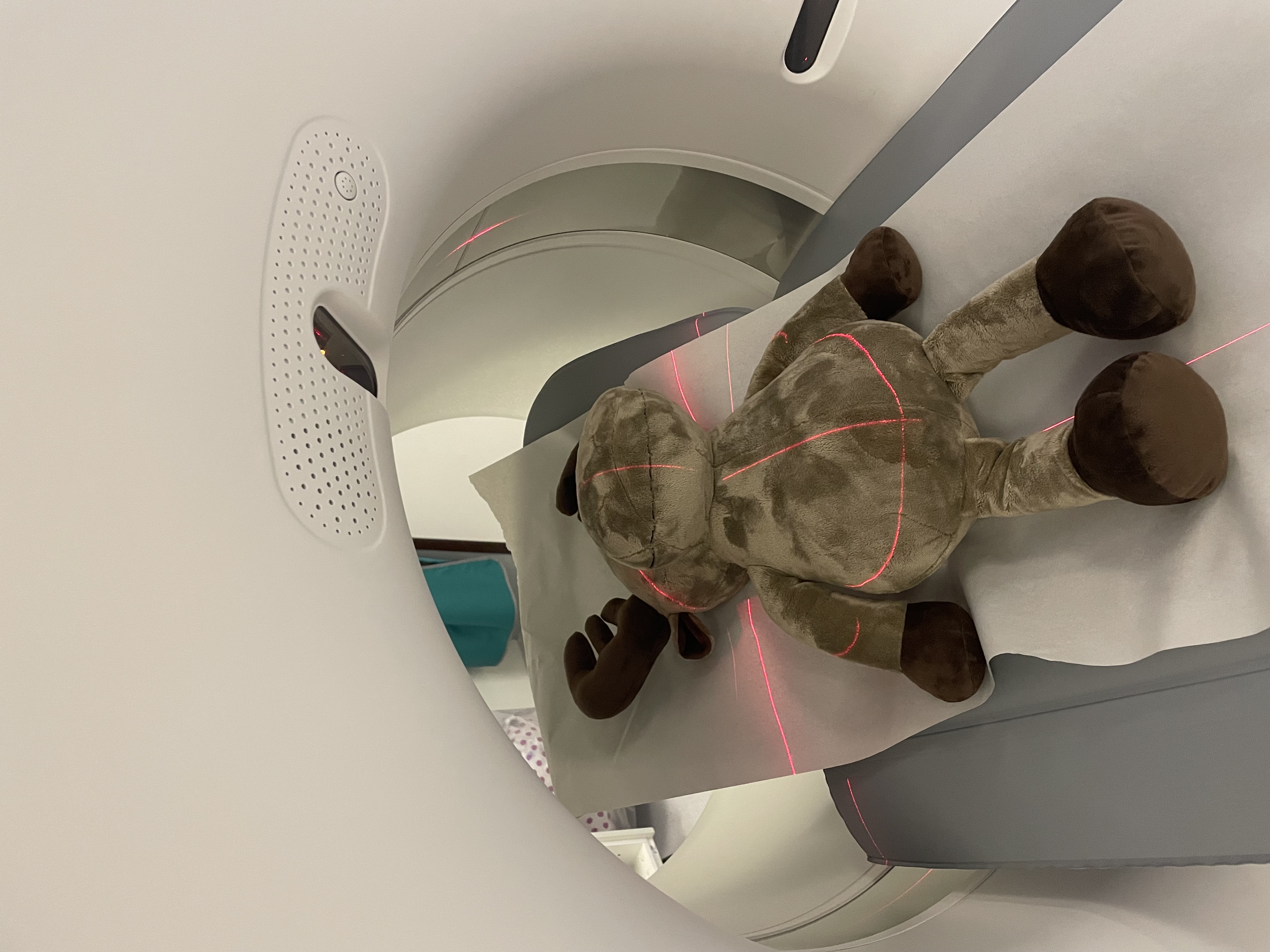 Et kosedyr i ct maskin