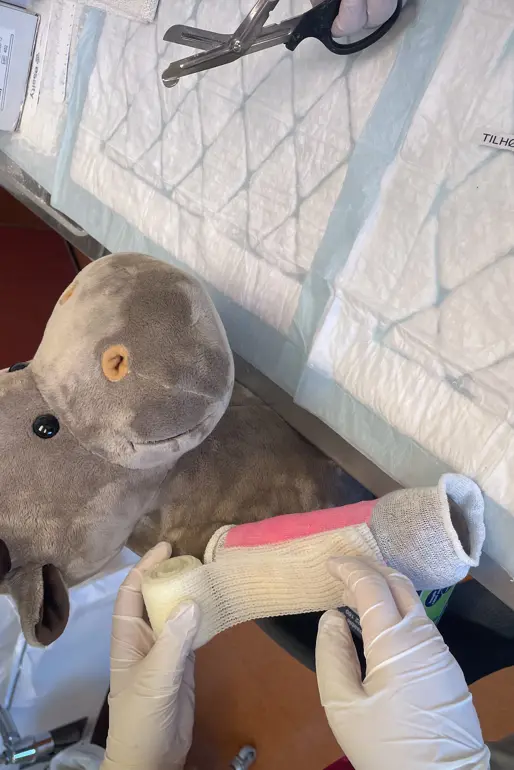 Et kosedyr får gips