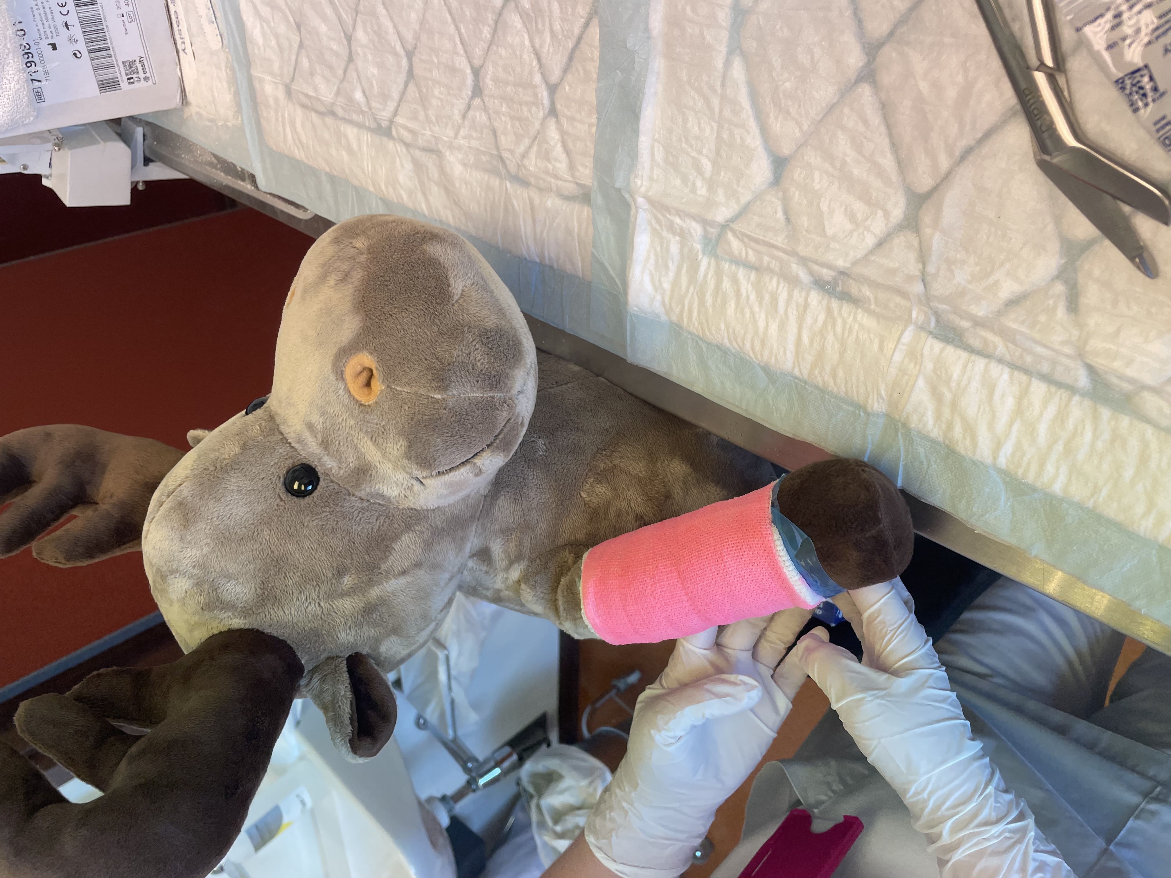 Et kosedyr med ferdig gips