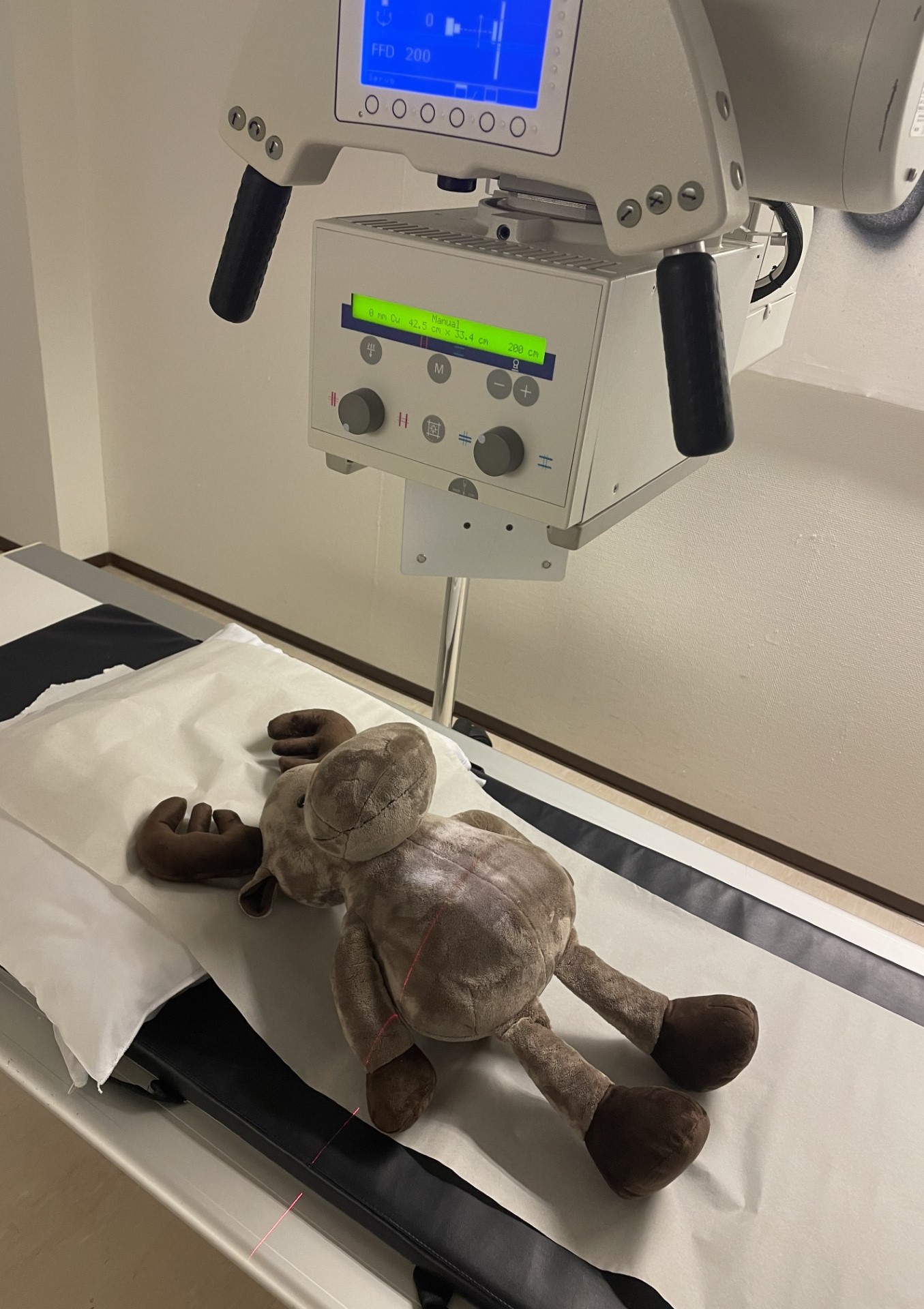 Et kosedyr i røntgen