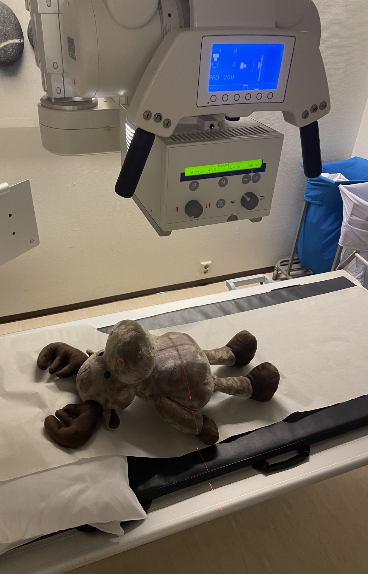 Et kosedyr på en sykehusseng