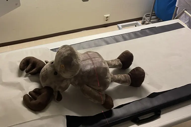 Et kosedyr på en sykehusseng