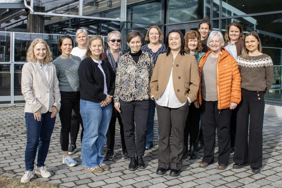 Prosjektgruppe for prosjekt X - "Trygt hjem"