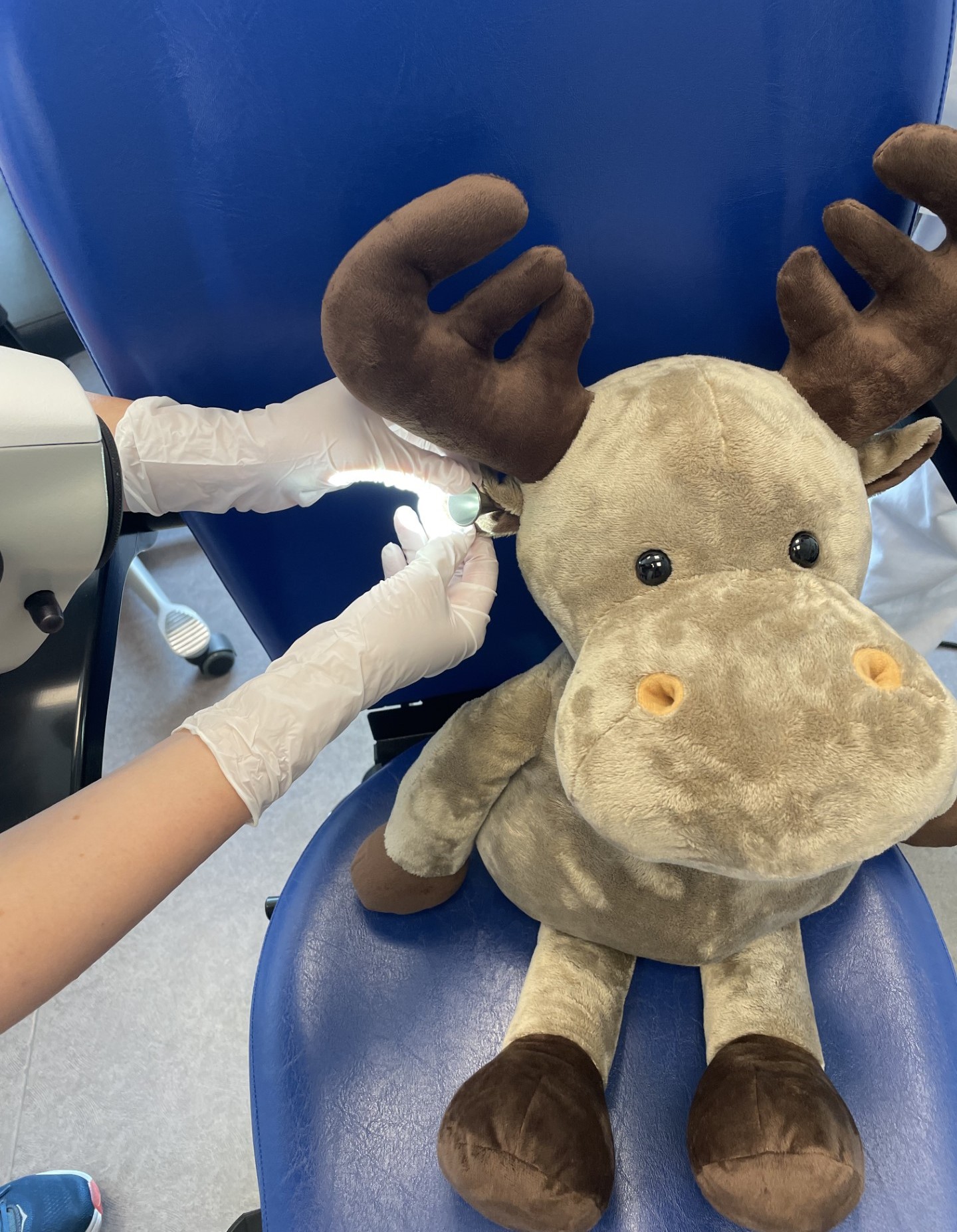 En person som ser i øret til et kosedyr