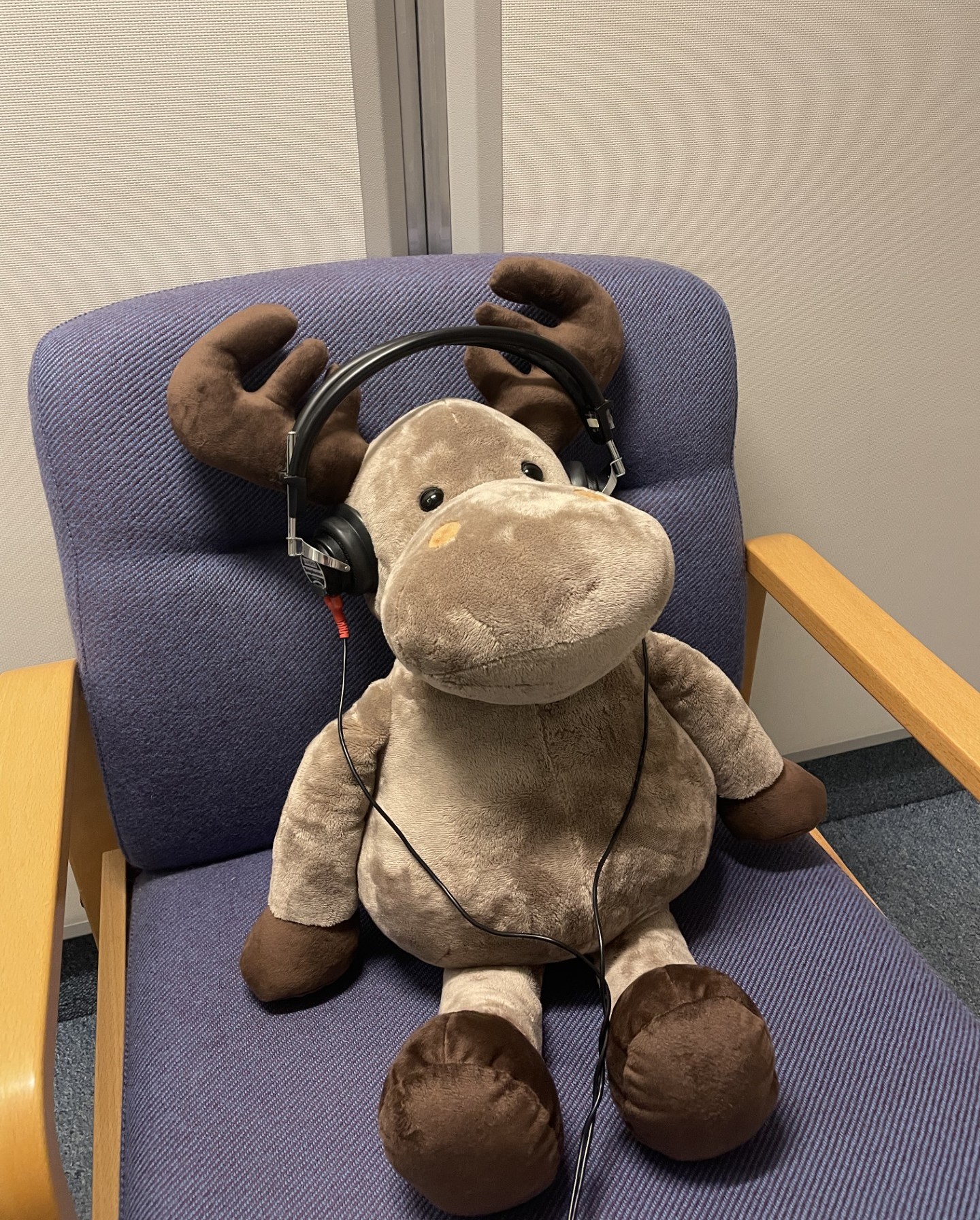 En bamse på en stol