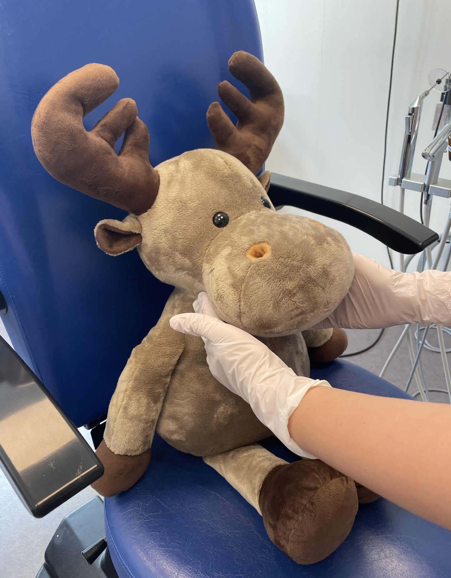 En person som kjenner på et kosedyr