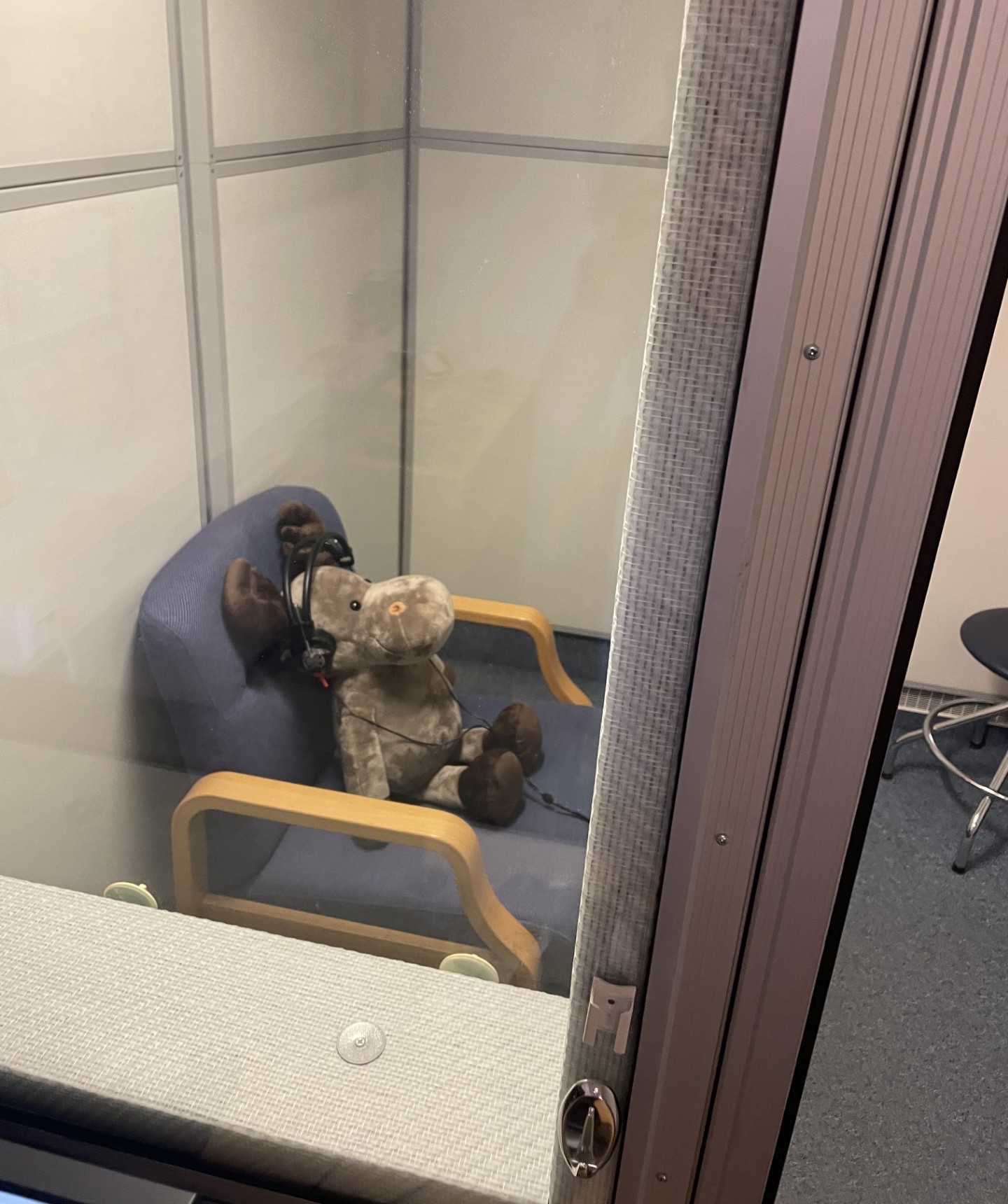 Et kosedyr i hørselsboks