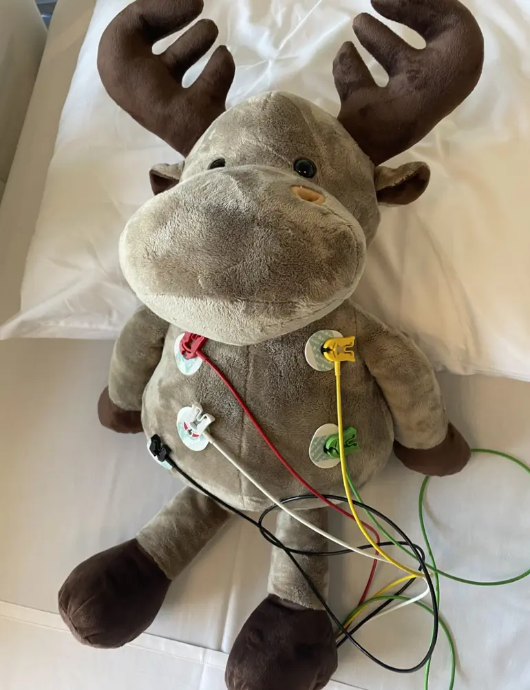 Et kosedyr med ekg ledninger