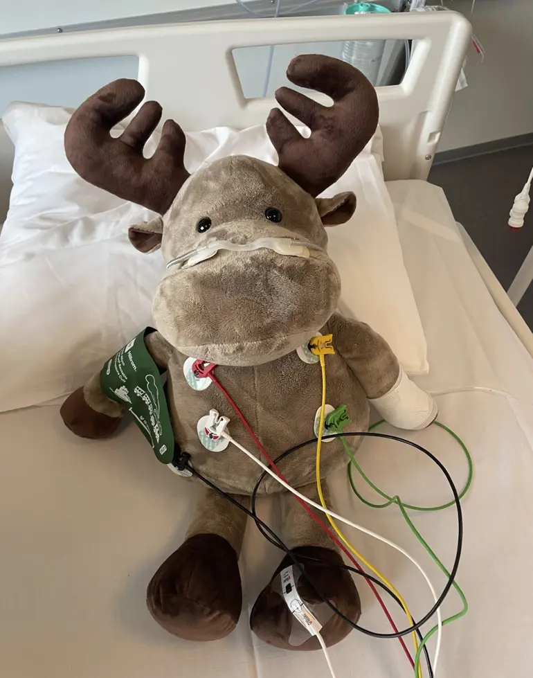 Et kosedyr i en sykehusseng