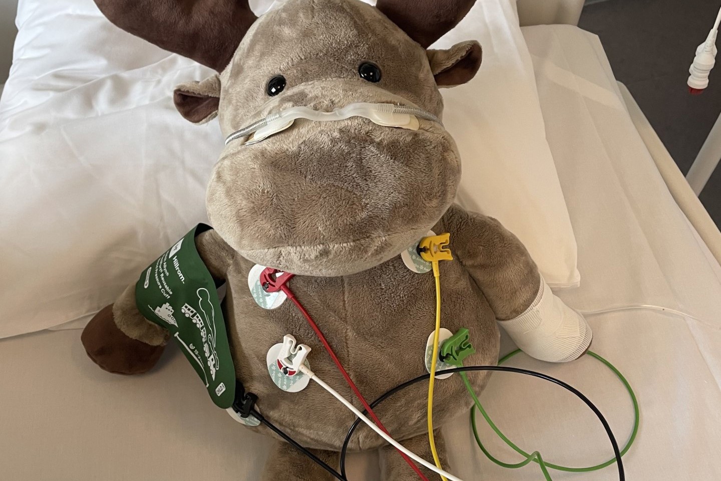 Et kosedyr på en seng