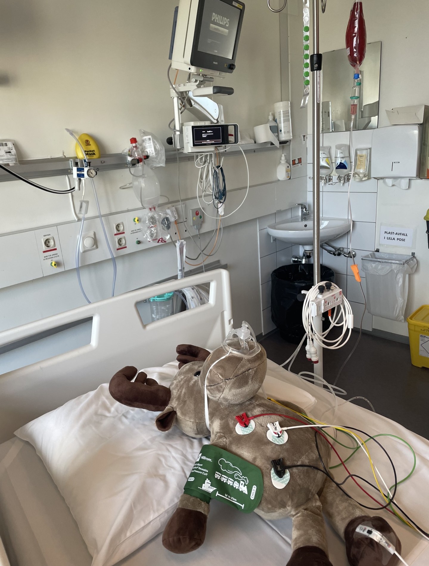 Et kosedyr i en sykehusseng