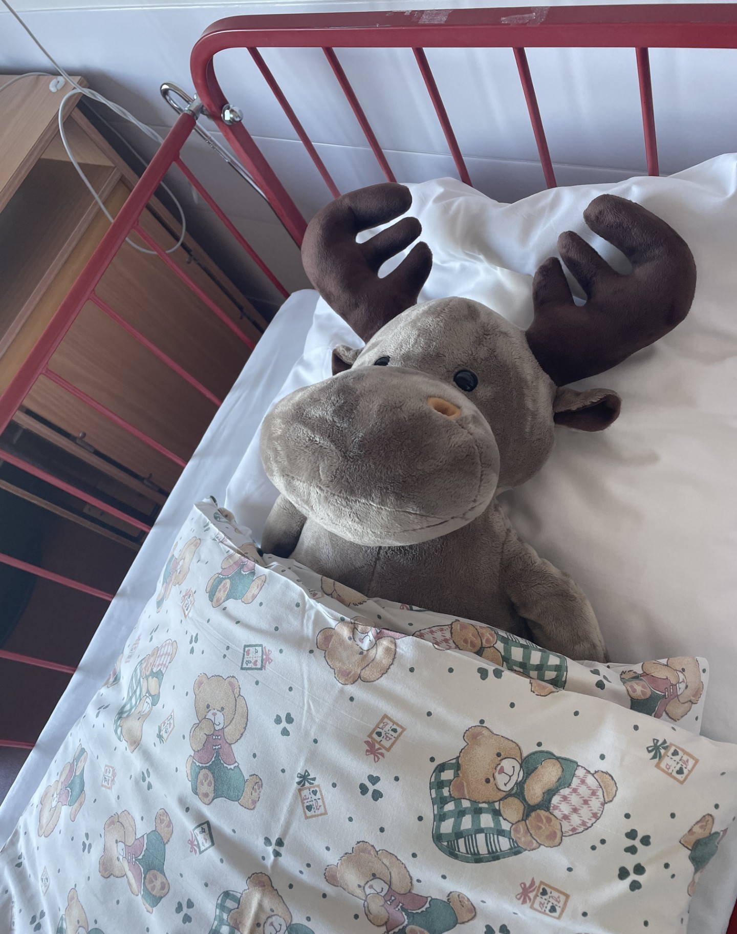 Et kosedyr i en sprinkelseng