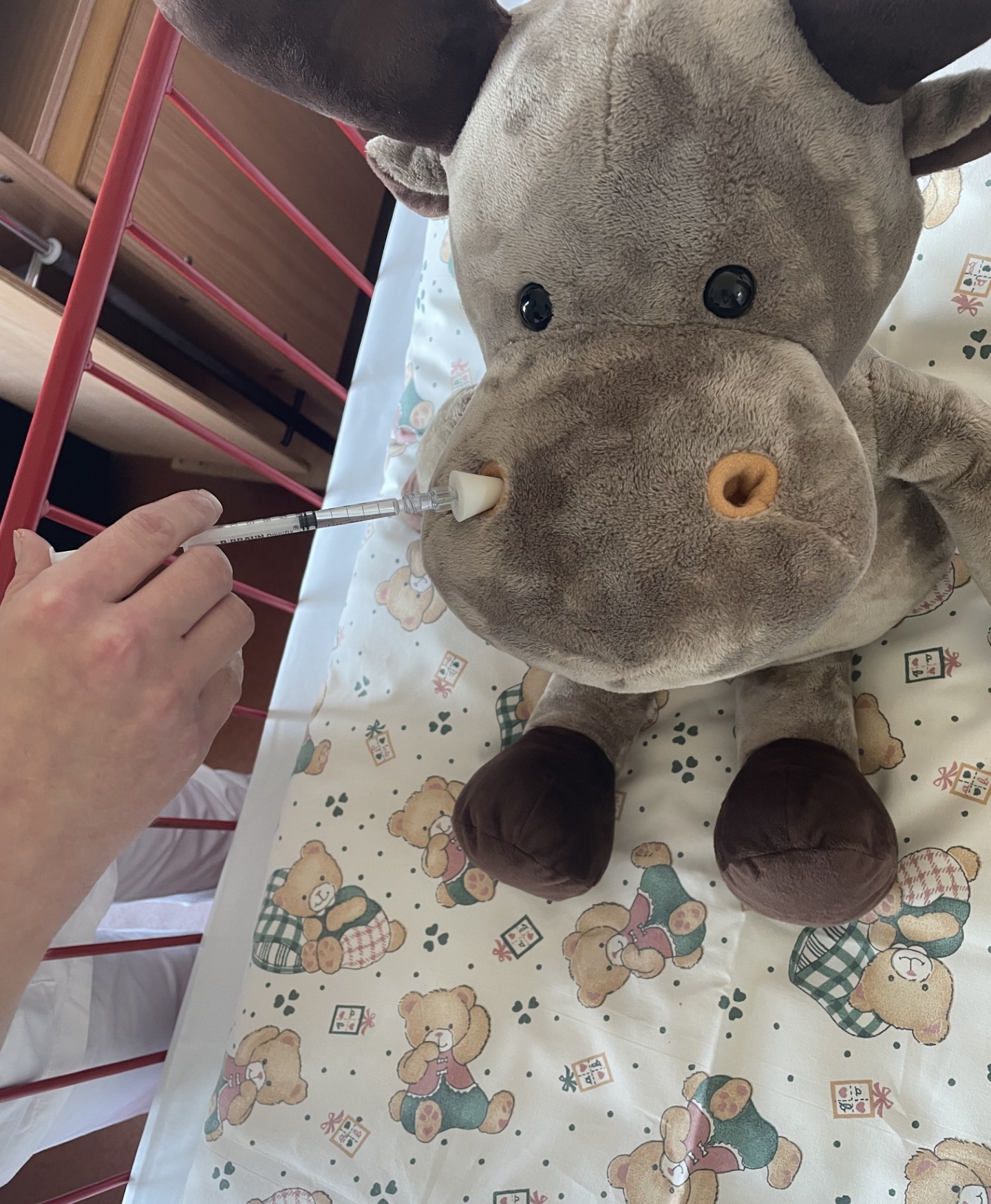 En person som gir medisin til et kosedyr