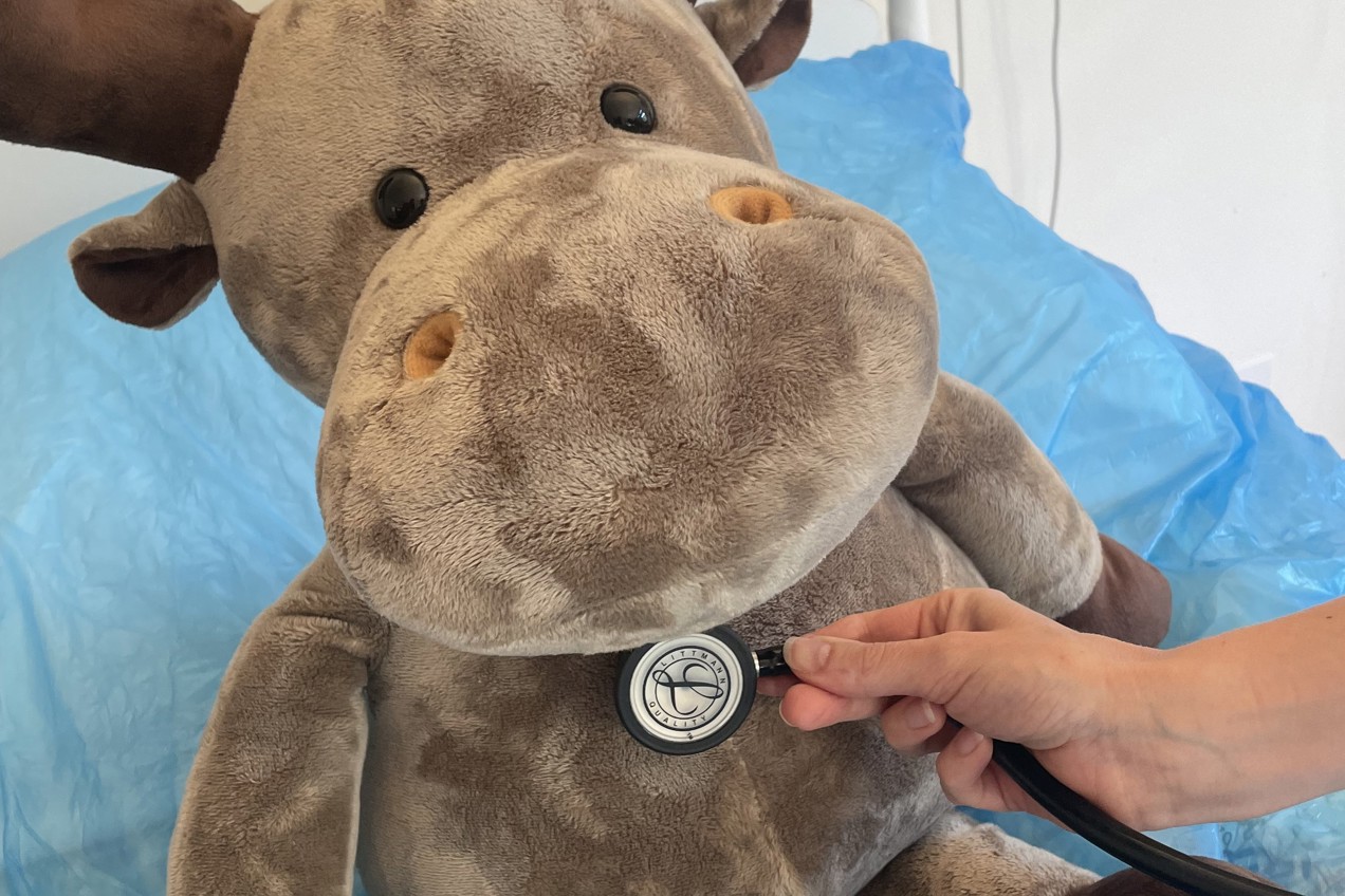 En person som holder et kosedyr