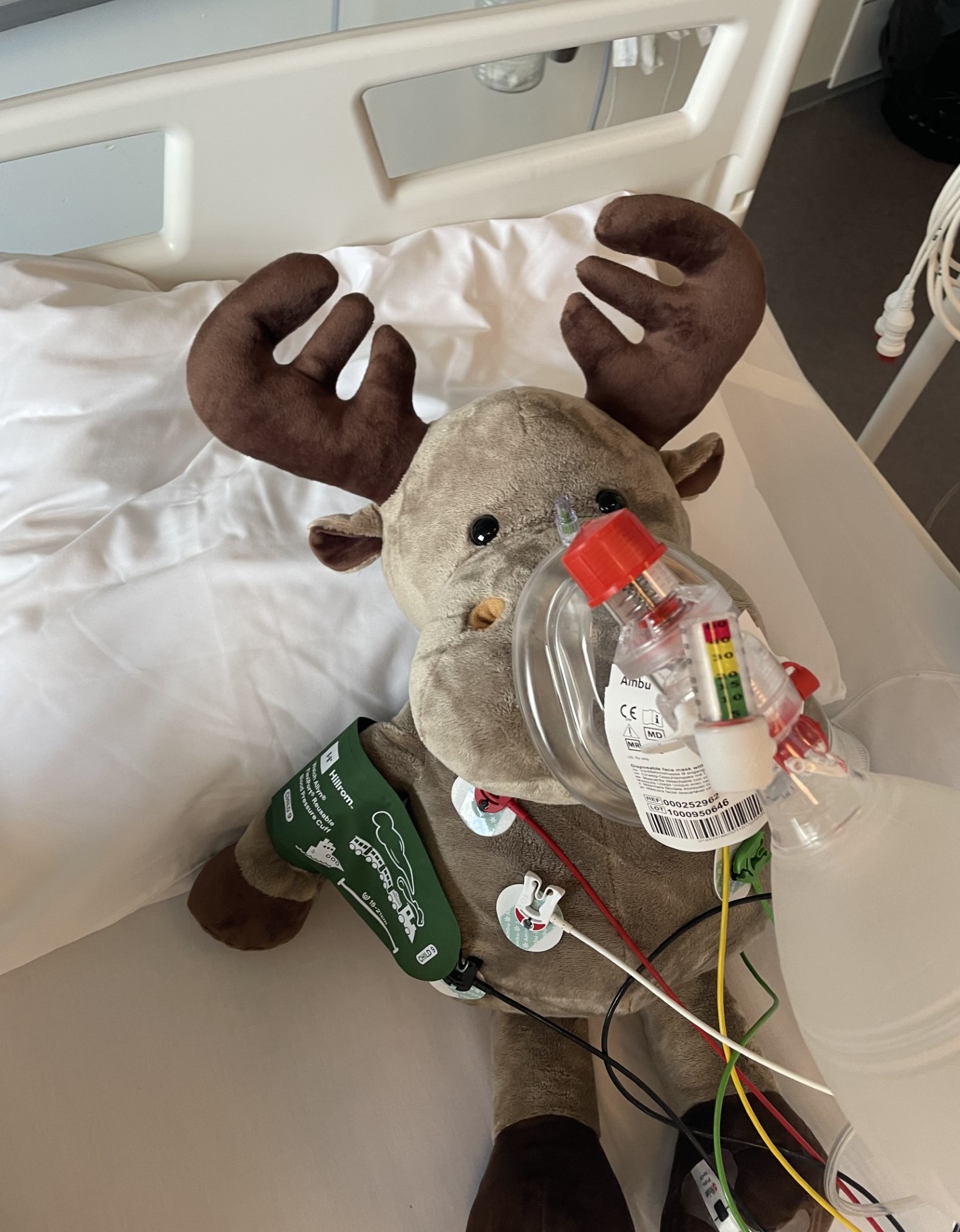 Et kosedyr med pustestøtte