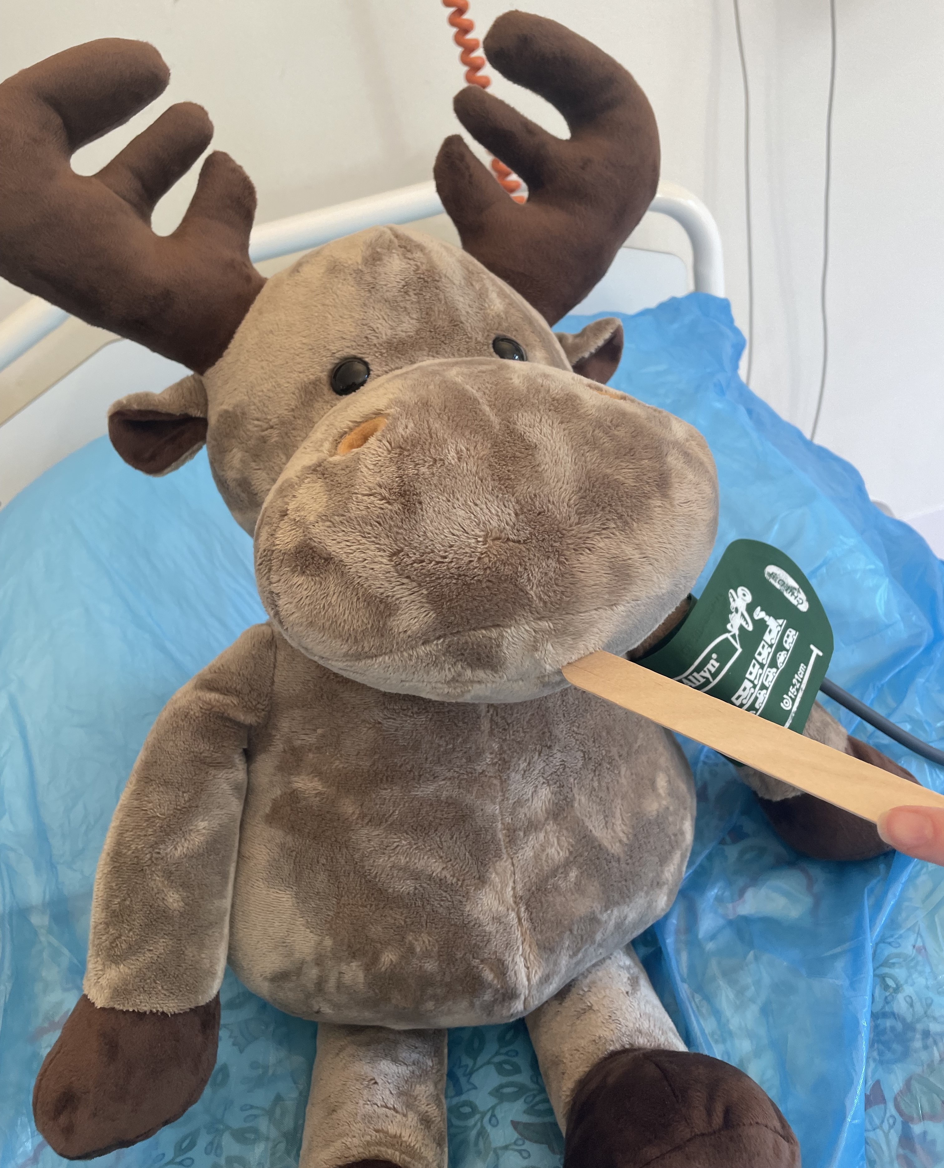 En kosebamse blir sett i munnen