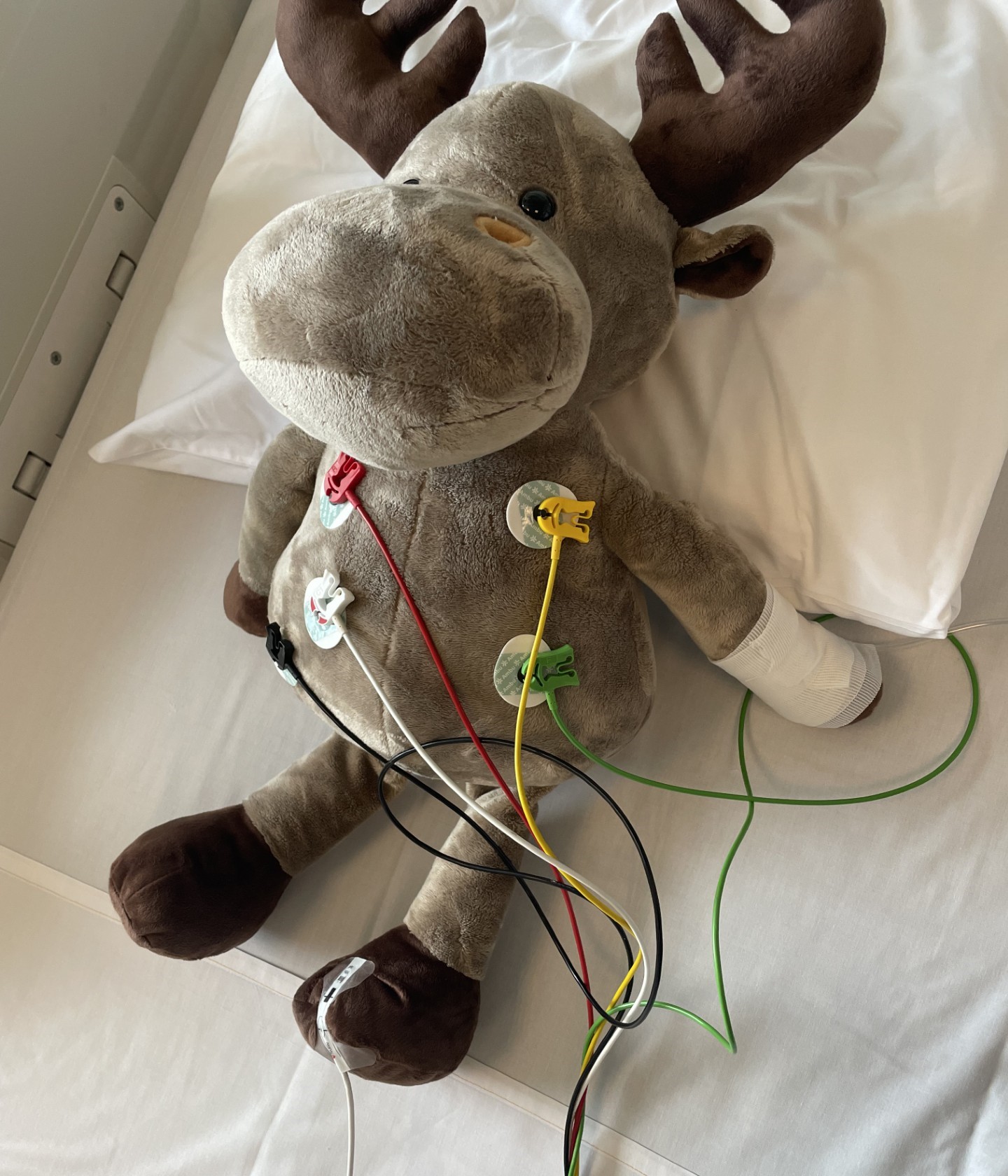 Et kosedyr på en seng