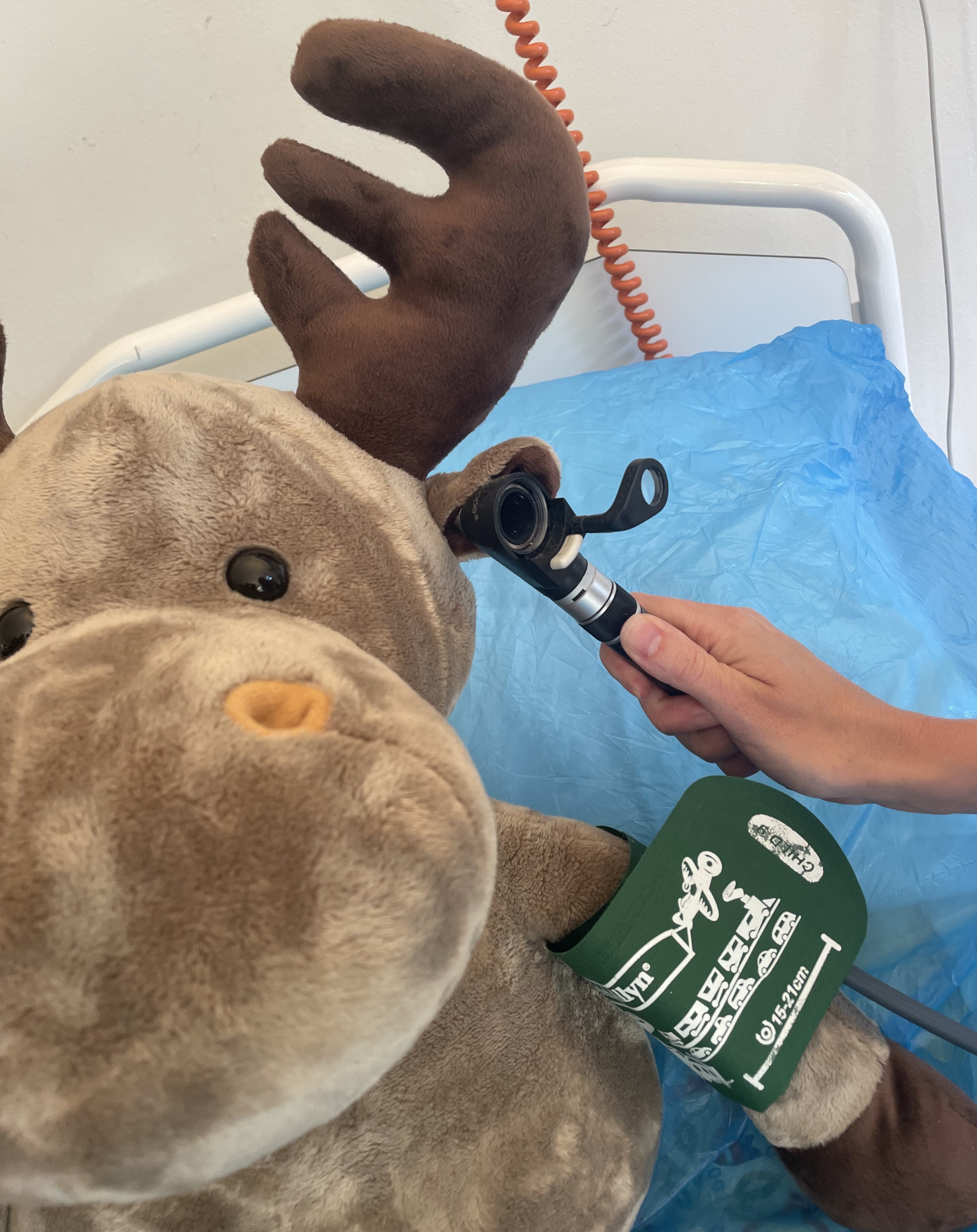 En person som holder et otoskop og et kosedyr