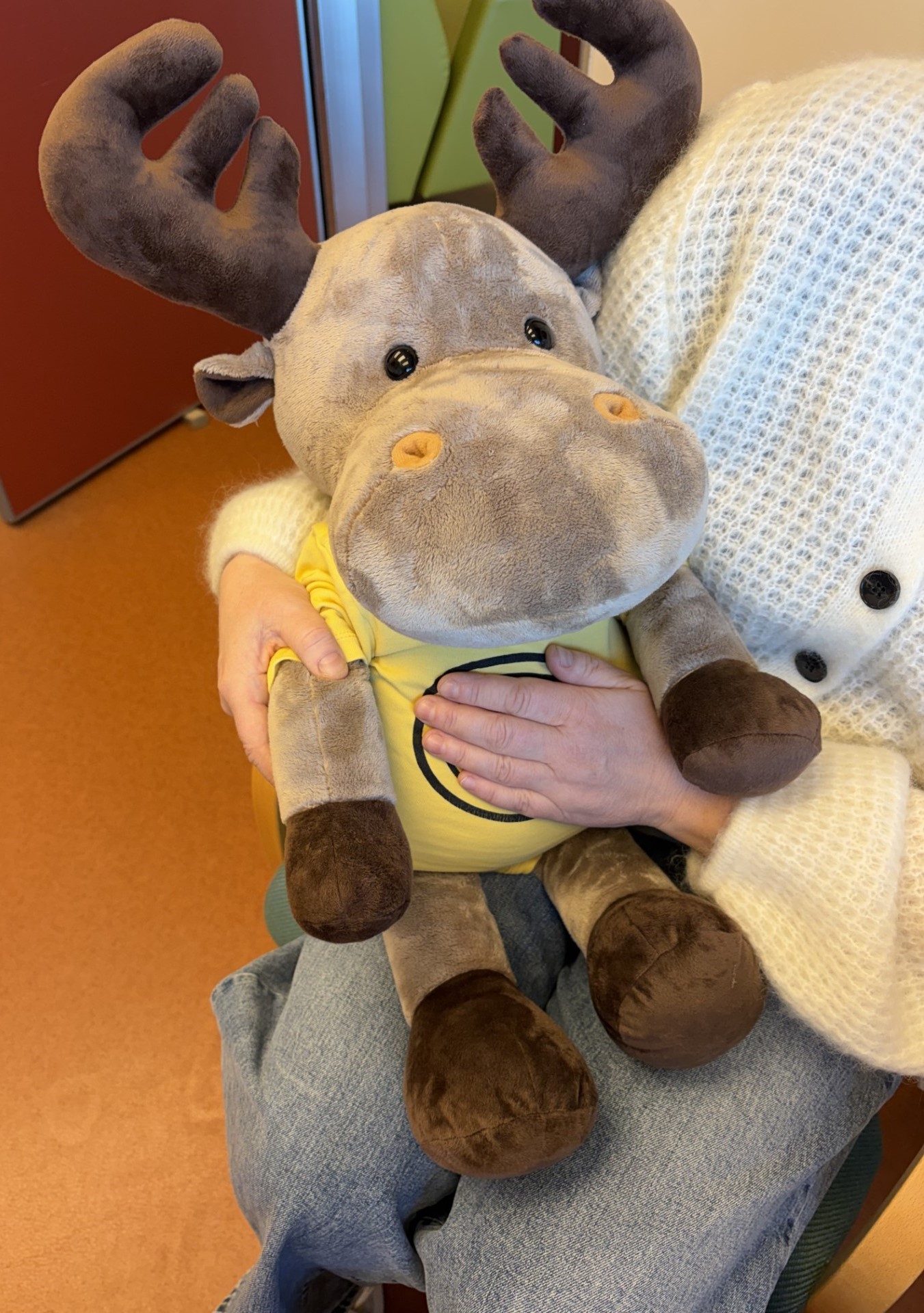 En person som holder et kosedyr