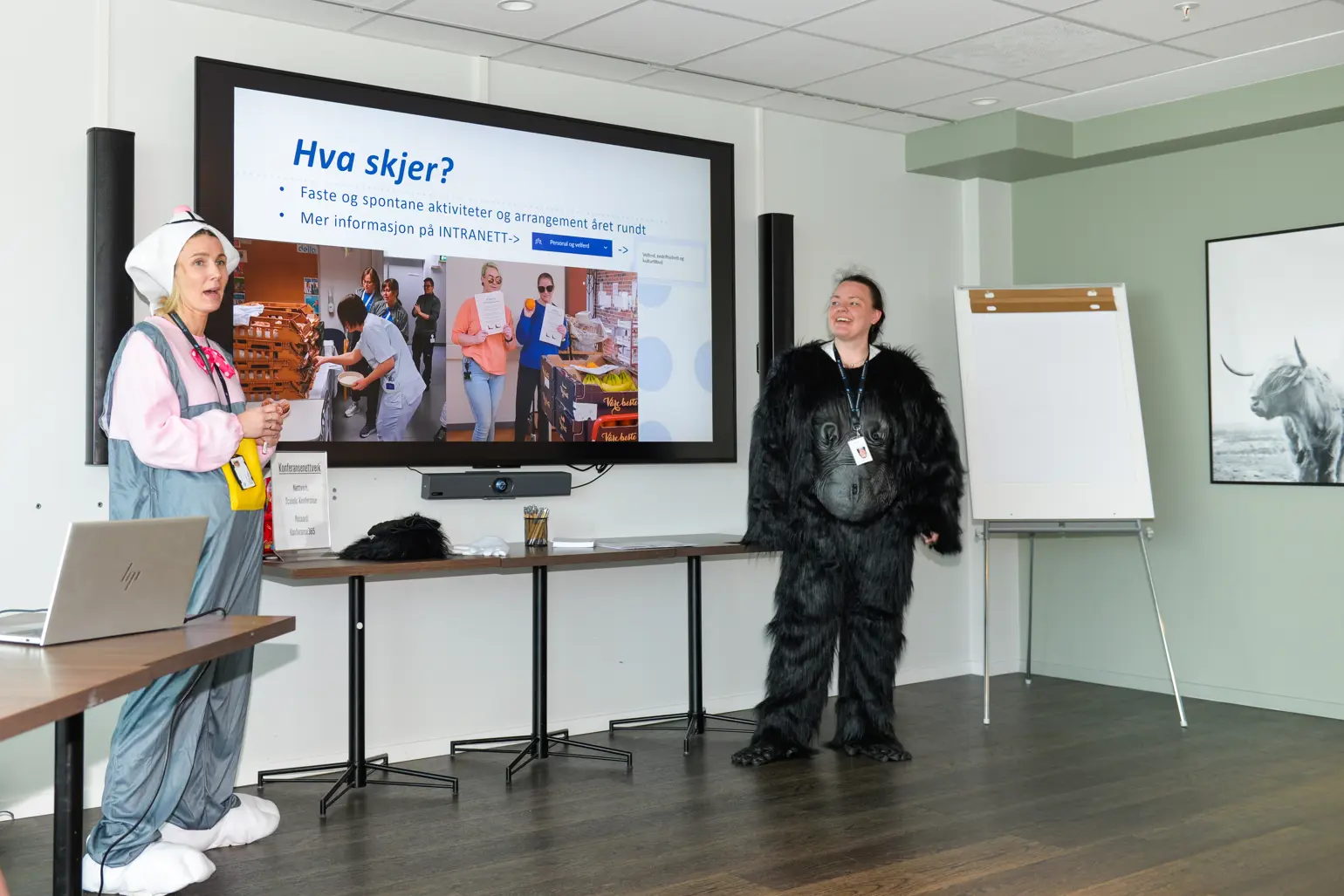 To utkledte damer