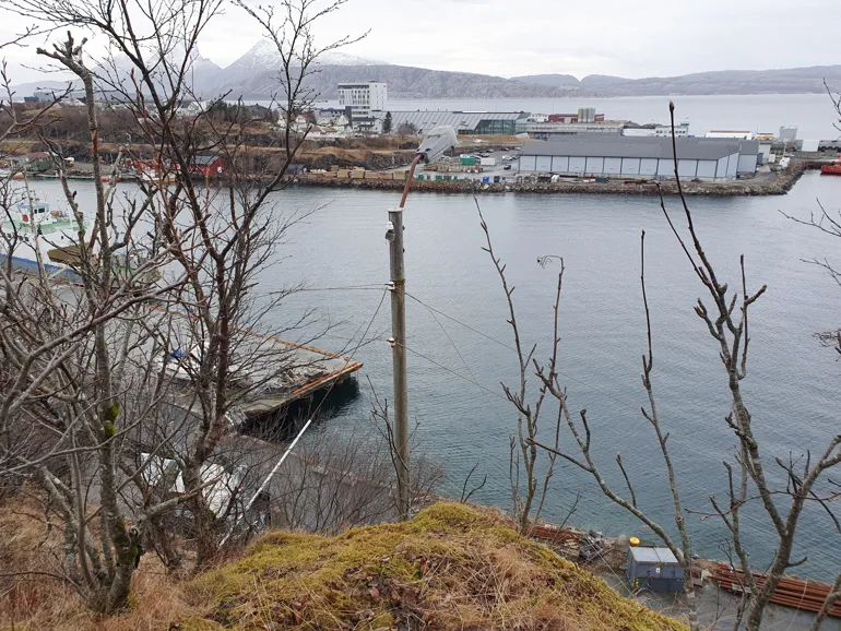 Vågen i Alstahaug