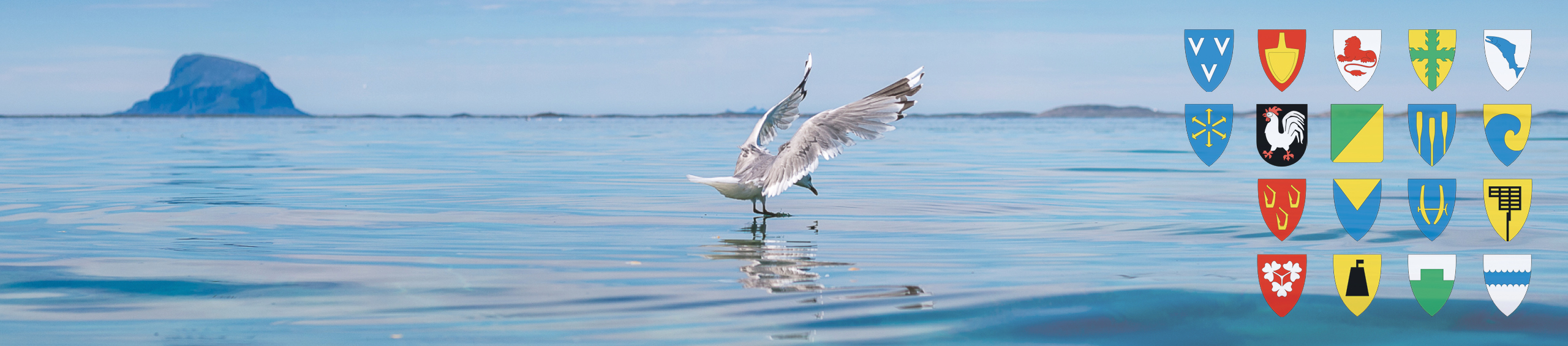Hav og måse, kommunevåpen for Helgeland