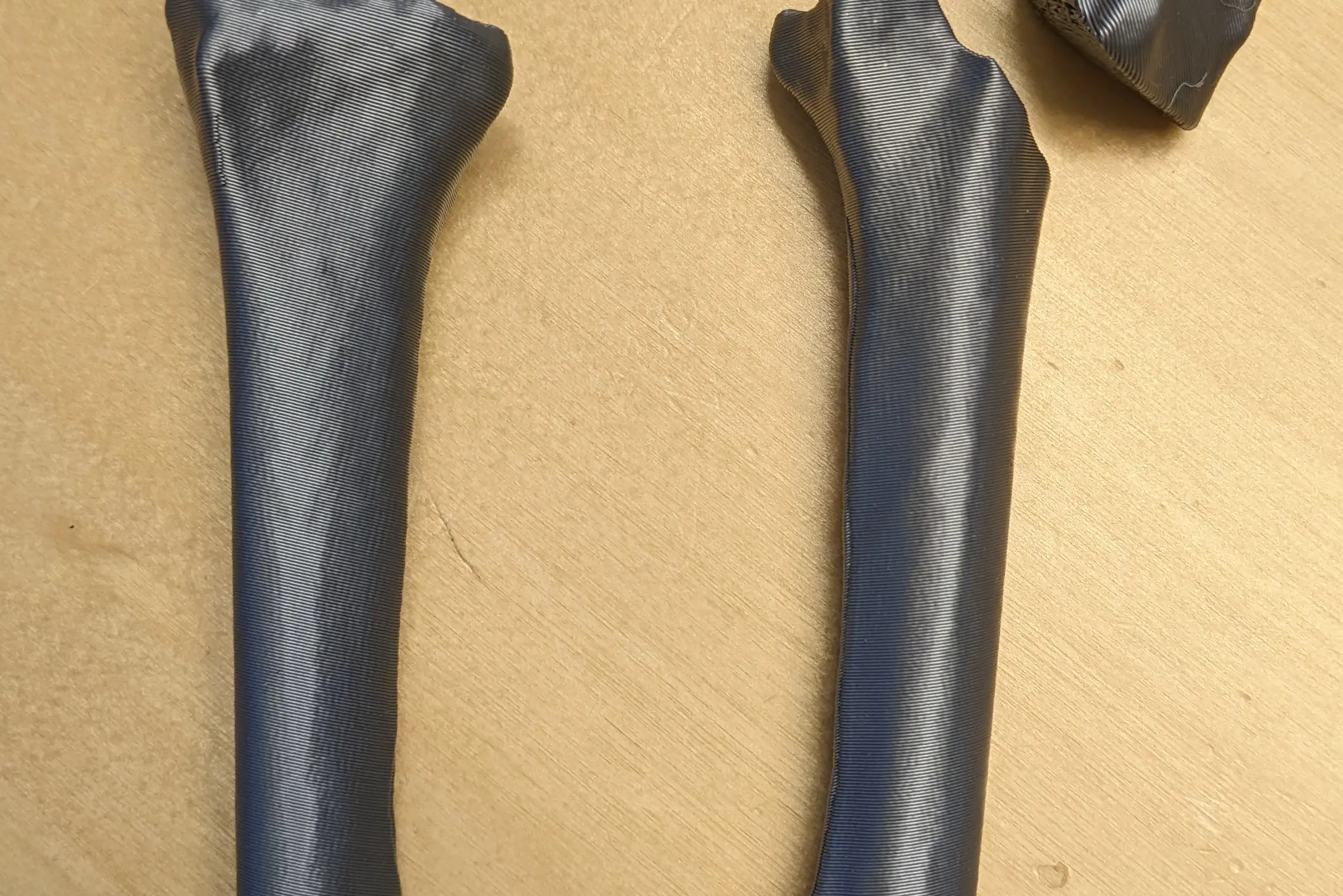 Sorr plastmodell av beinfragment