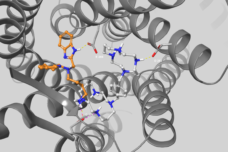 Figuren viser hvordan de småmolekylære antagonistene plerixafor (lysegrå) og AMD11070 (oransje) tenkes å binde til CXCR4-re